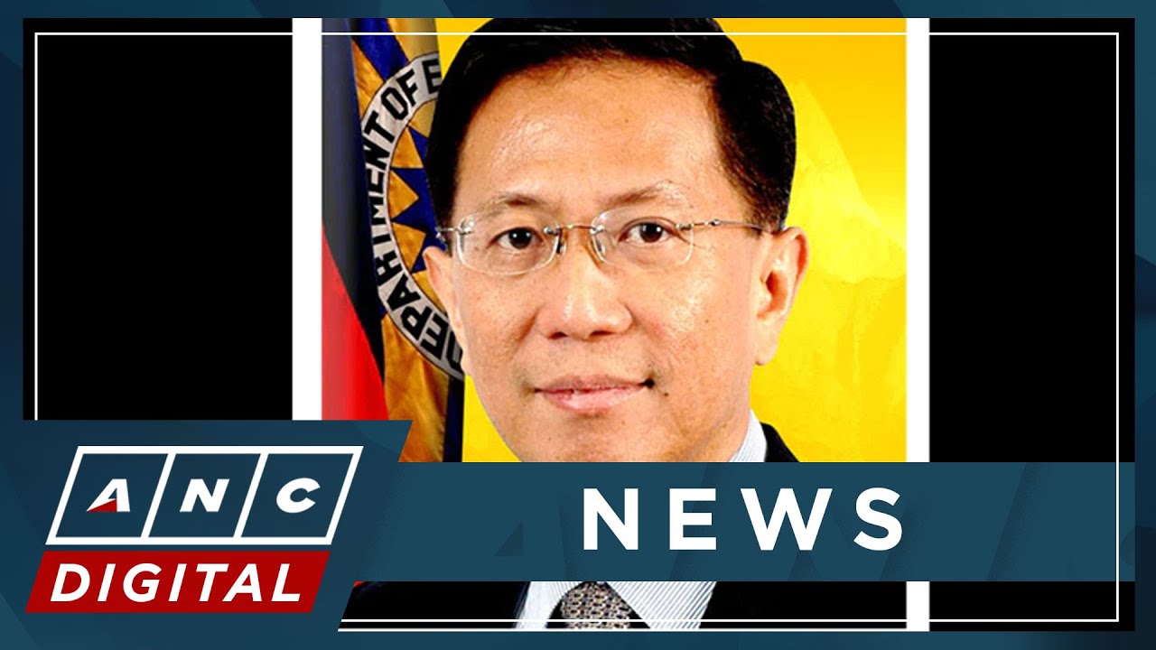 Sen. Gatchalian: Lotilla should be allowed to be DOE Chief | ANC