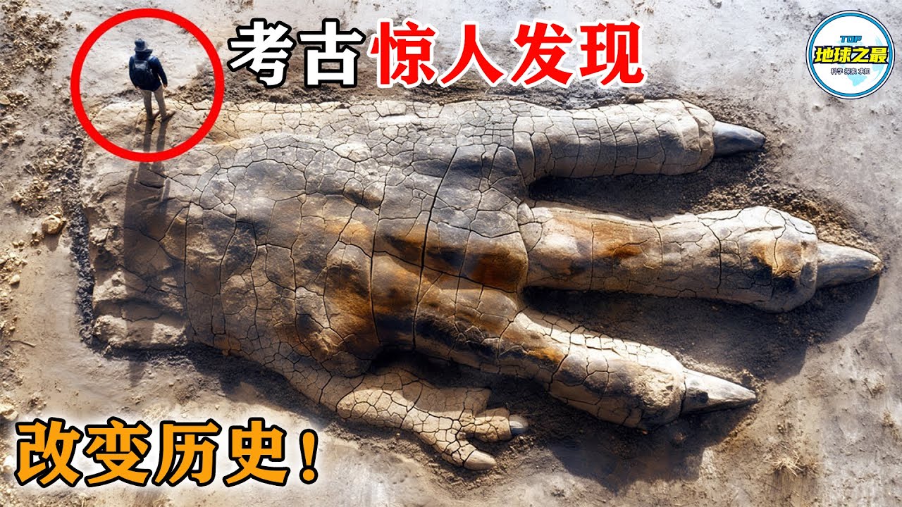 考古专家被吓得头皮发麻！15个可能改变历史的惊人发现！丨地球之最#冷知识 #排名 #世界之最#惊人发现#历史#世界之最top#出类拔萃#top10