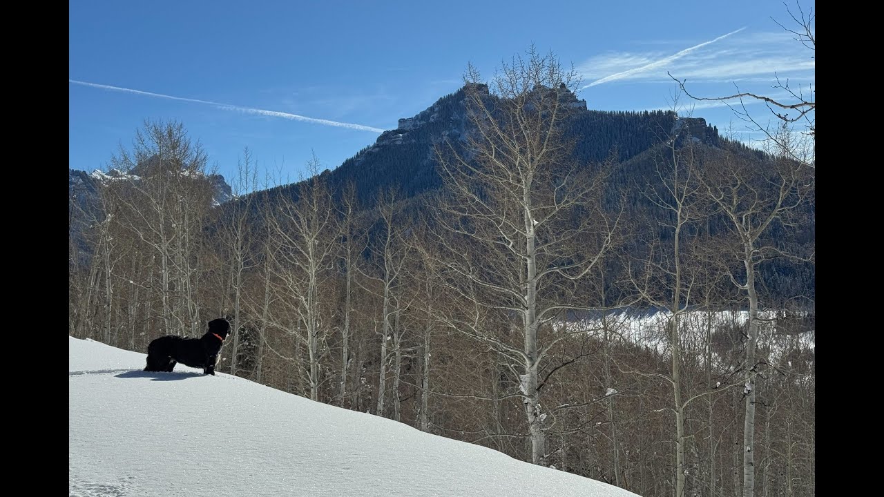 The Winter Cabin Ski Trip