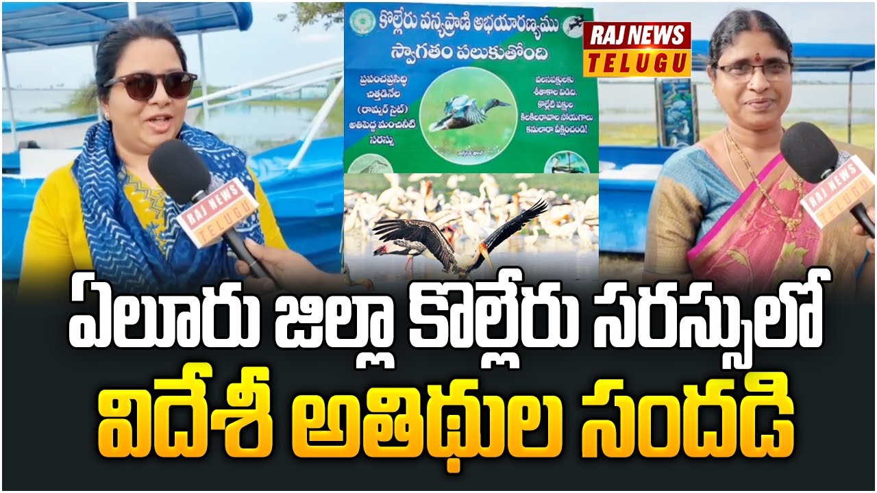 ఏలూరు జిల్లా కొల్లేరు సరస్సులో విదేశీ అతిథుల సందడి | Migratory Birds In Kolleru Lake | Raj News