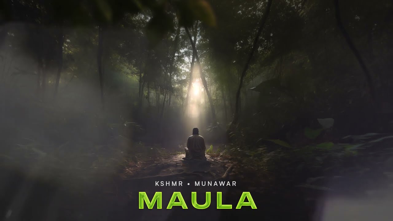 KSHMR, Munawar Faruqui - Maula (Official Audio)