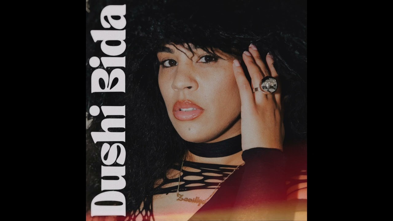 Zanillya - Dushi Bida (Audio)