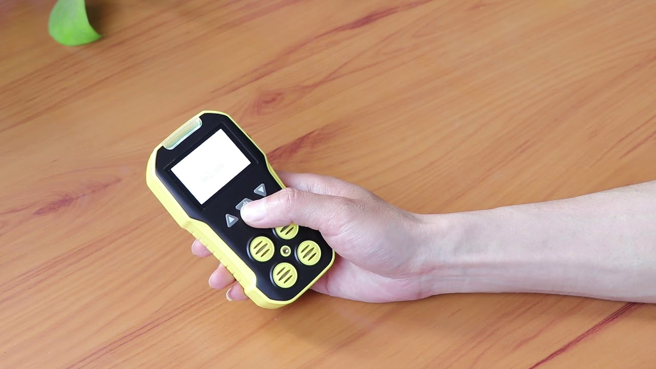 BH-4A Portable multi gas detector from Bosean
