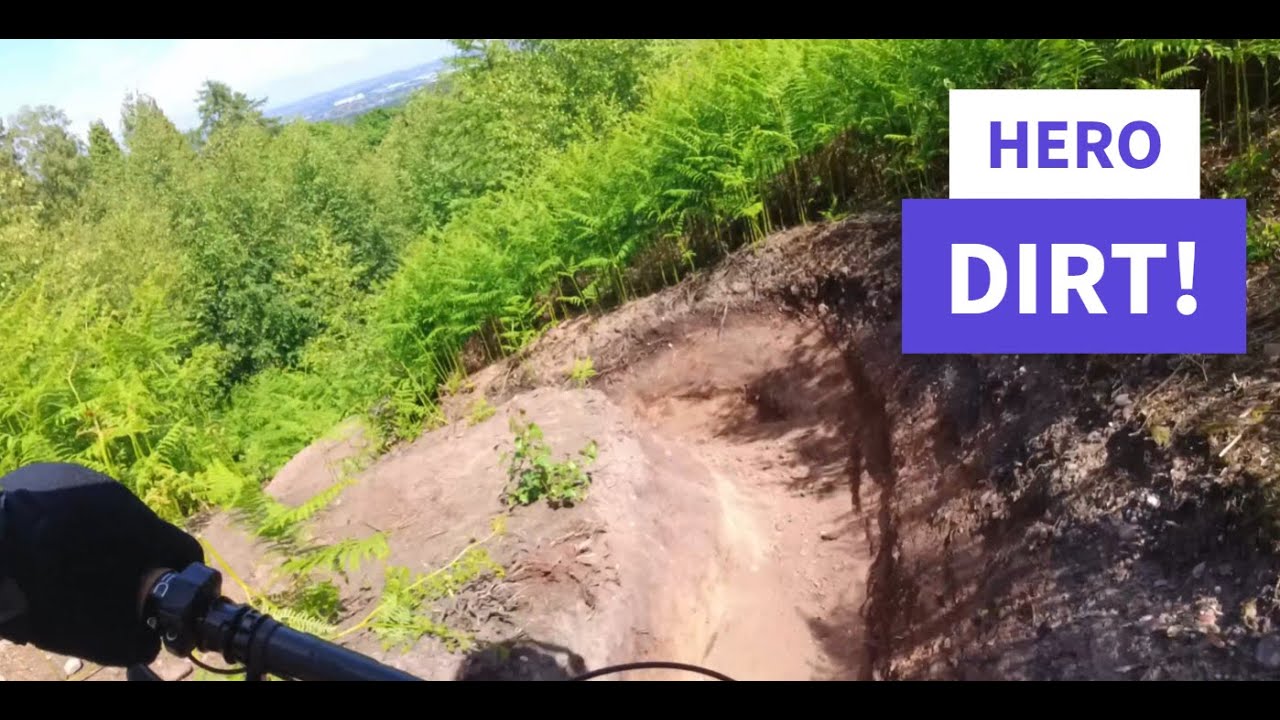 Hanchurch Woods | Welcome to the Jungle