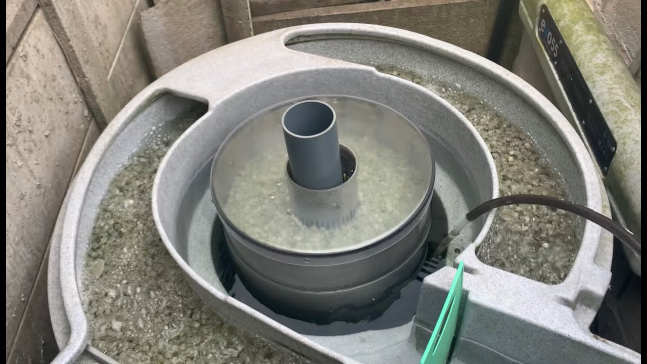 How to clean a nexus koi fish pond filter by Evolution Aqua