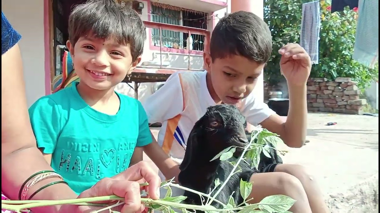 Aadhya आणि दर्श चा गावाला आल्यानंतर प्राण्यांसी संवाद आणि रानात फेरफटका😂😂