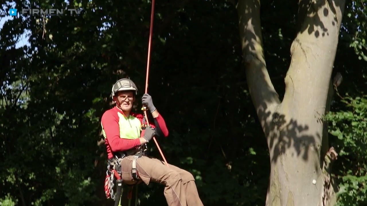 Baumpflege Mario Weigl in Trostberg &ndash; Ihr Profi von der Pflanzung bis zur Rodung