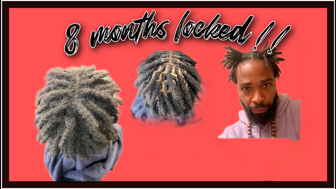 8 Month Visual Loc Journey with pics & videos| Short Starter Locs