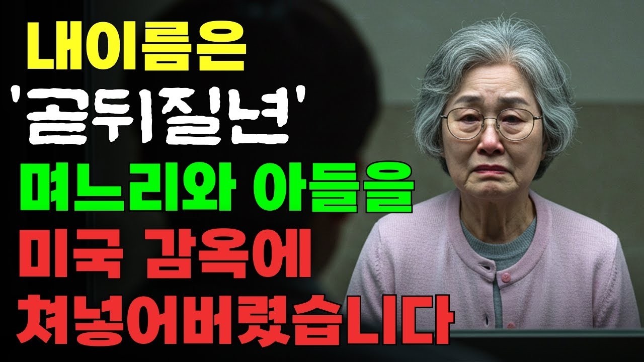 어차피 돌아가실 건데 뭘 그렇게 돈에 집착하세요! 미국에서온 시어머니 몰래 생명보험 5개 가입한 며느리     재산상속   가족사연   사이다썰   오디오북