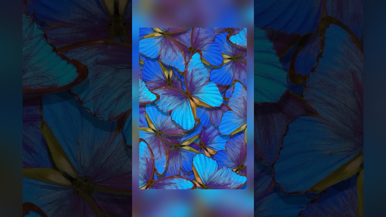 NEW VIDEOS UPLOADED DAILY!!! Subscribe to GAB Art TV!!! #arttv #gabarttv #art #gallery #screensaver