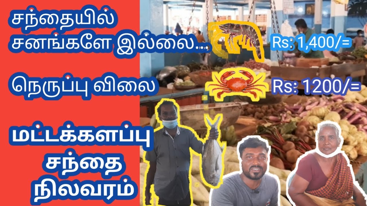 மட்டக்களப்பு சந்தை | Batticaloa Market Sri Lanka | tamil unlocker