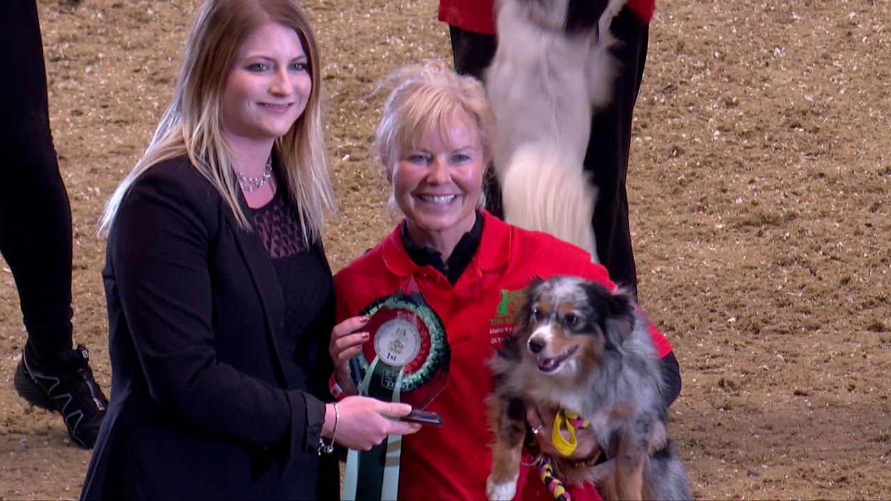 The Kennel Club Small Dog Jumping Grand Prix snd Agility Finals at Olympia 2018