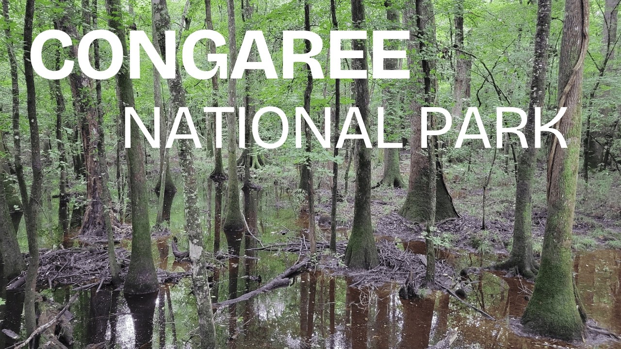 Congaree National Park in South Carolina