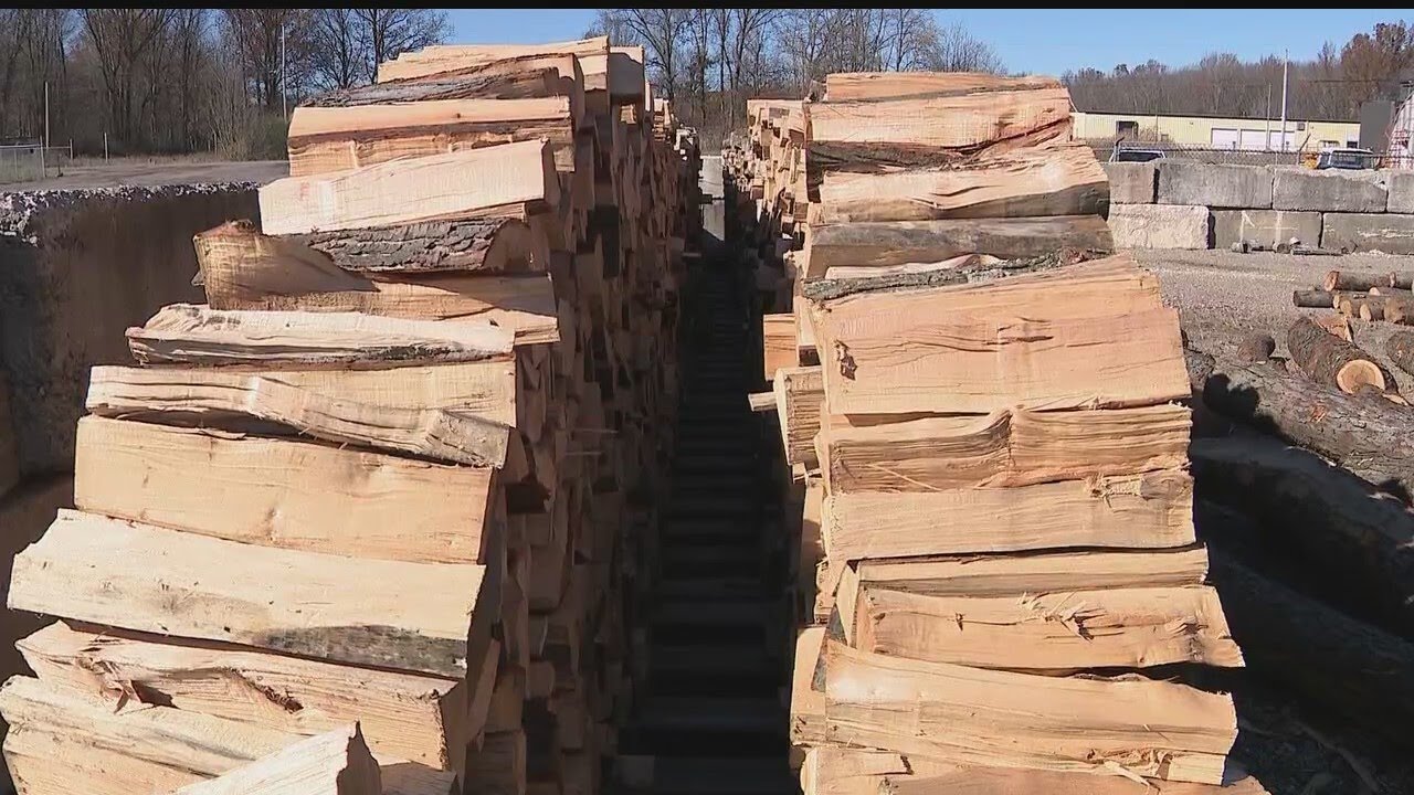 Expert warns about firewood scams