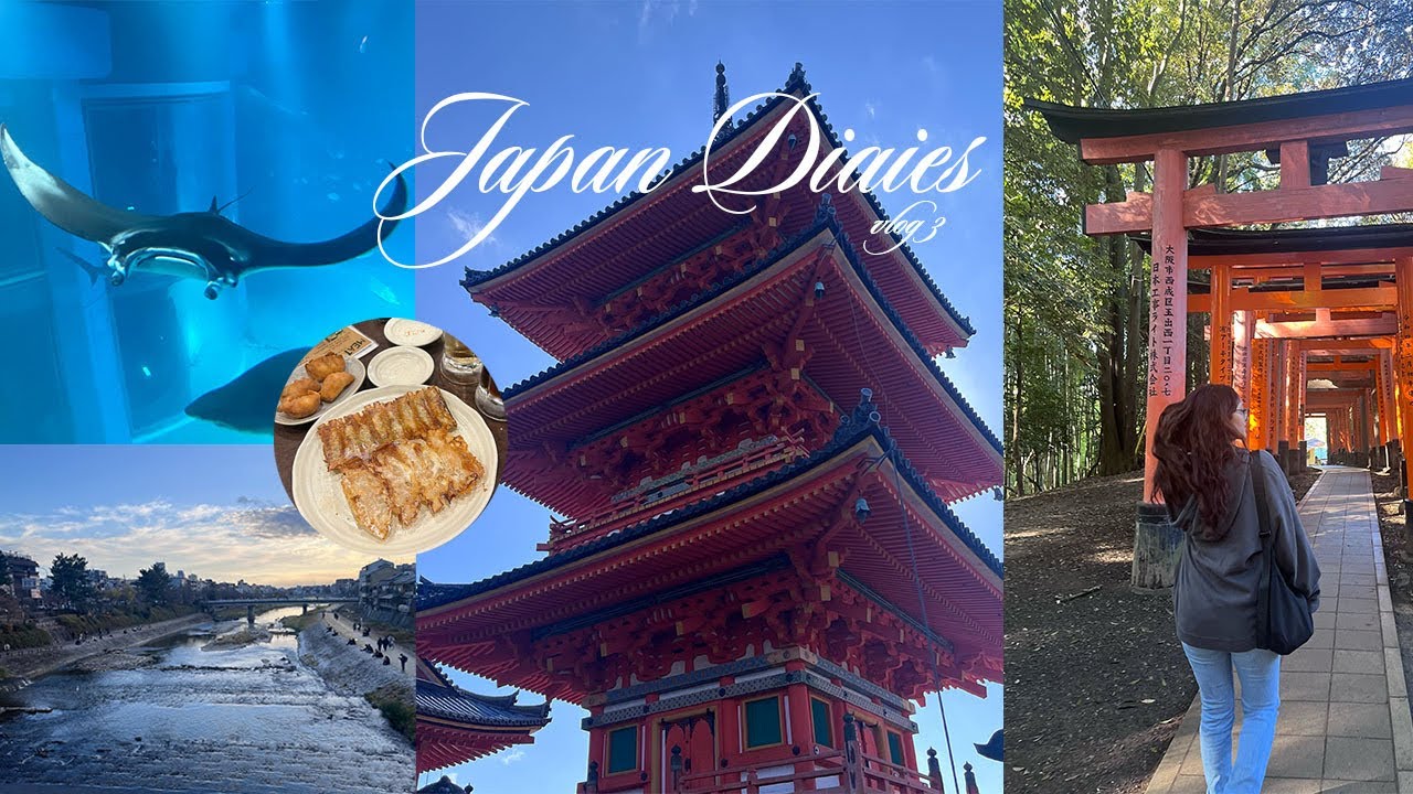 Japan Diaries✨ Ep. 3 Kyoto and Osaka📍🍜