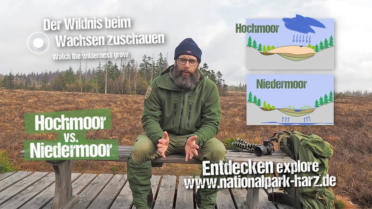 Nationalpark Harz für Zuhause - Hochmoor vs. Niedermoor