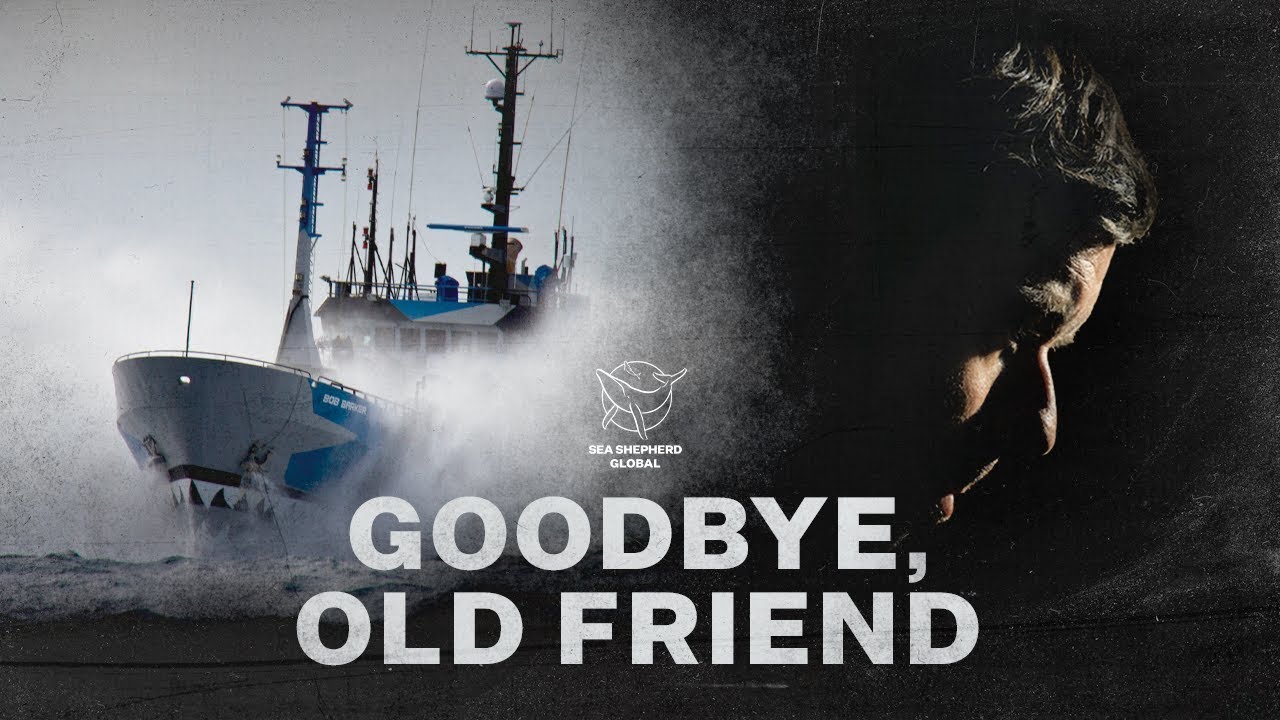 Goodbye, old Friend