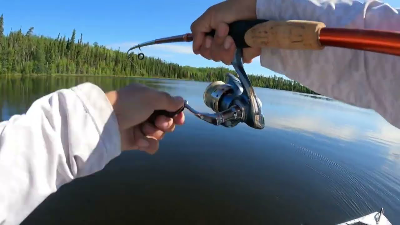 Brown trout beat down! (Lussier lake)