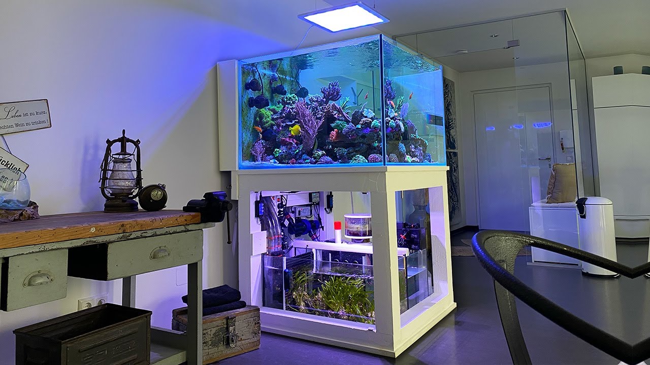 REEF TANK chillout video - The 1000 liter AQUARIUM from Elias 4K