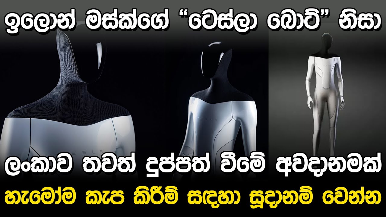 ඉලොන් මස්ක්ගේ “ටෙස්ලා බොට්” | Tesla Bot Elon Musk |