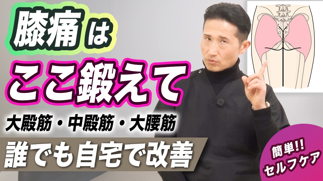【膝の痛み】股関節を鍛えて、膝の負担を減らすエクササイズを3つご紹介します！【理学療法士】【この3つの筋が超重要です。】