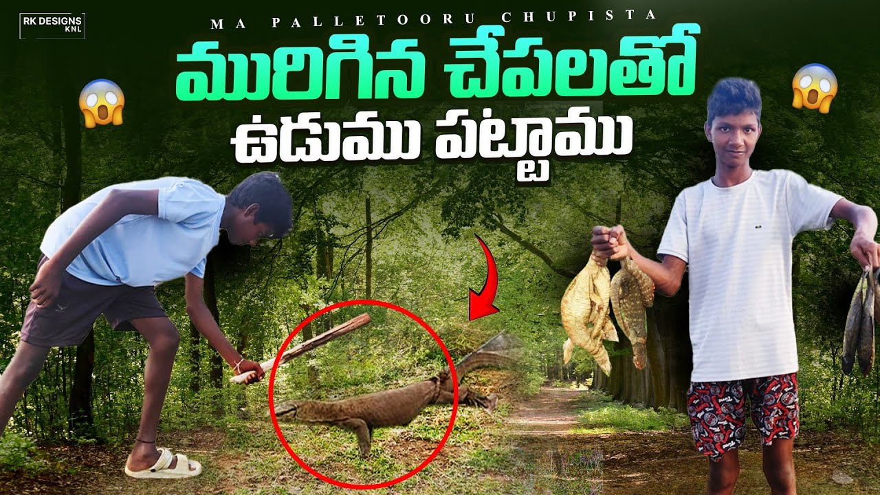 చేపలతో 🦎 ఉడుము పట్టాము 👈 Setting traps for skunks in the forest | udumu ucchulu | PART :2