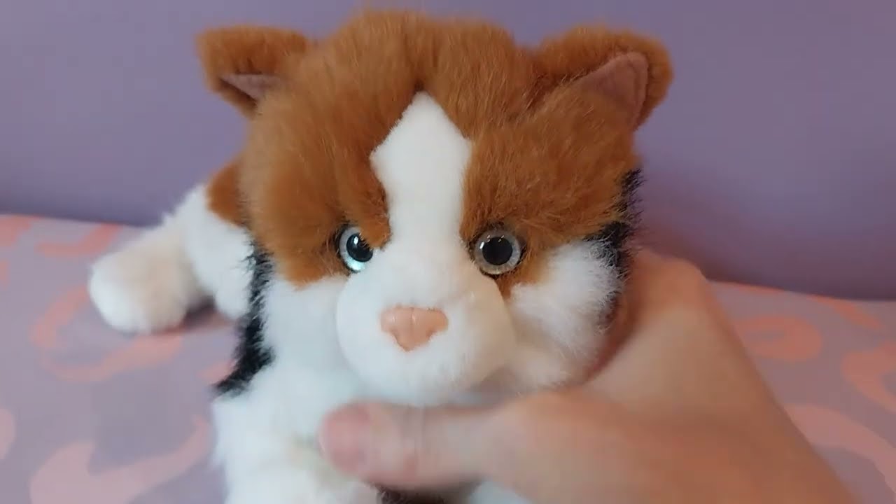 Unboxing A Vintage Douglas Cuddle Toys Calico Cat Plush! 🐈🧡🖤🤍