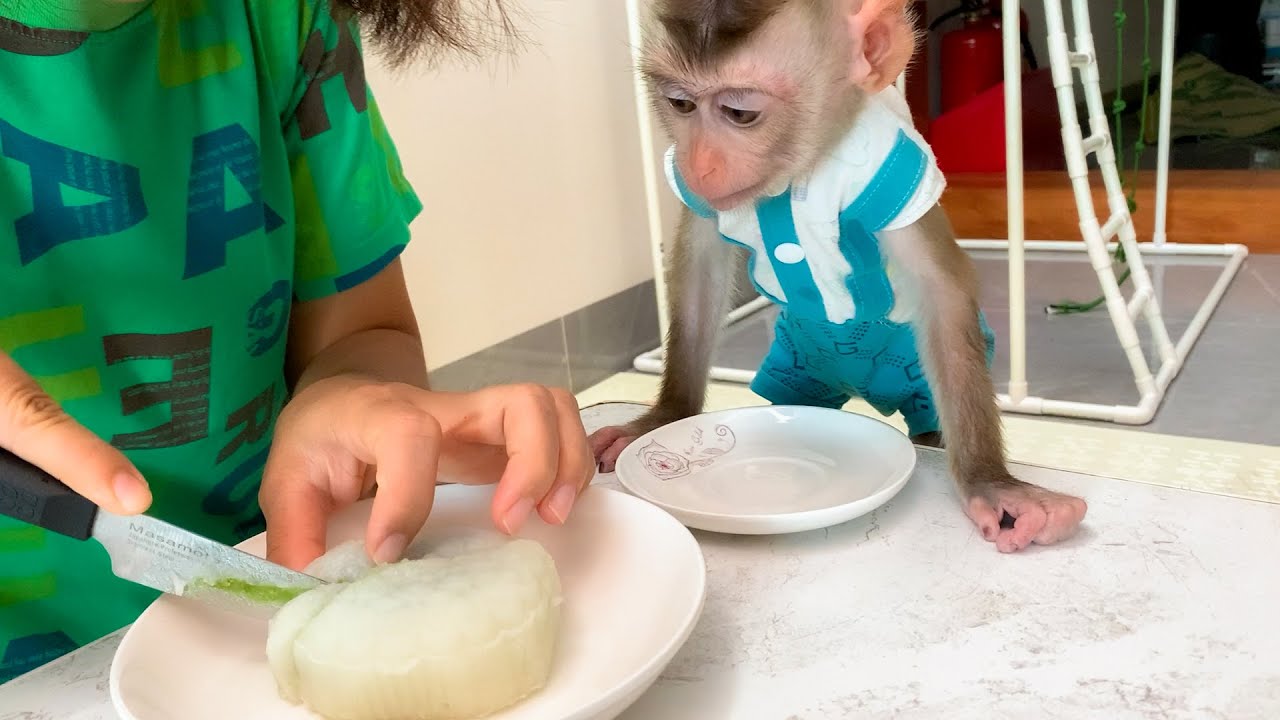 Monkey Puka was hungry and hugged Moon Cake to find Mom
