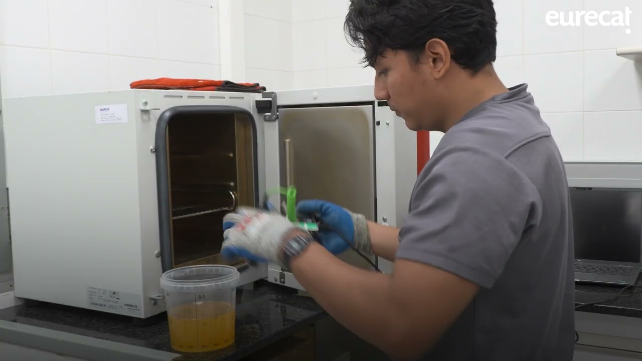 Future Materials: Manufacturing Bio-based Vitrimer Composites