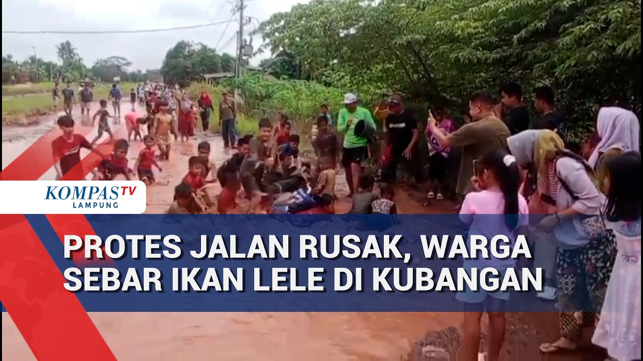 Protes Jalan Rusak, Warga Sebar Ikan Lele di Kubangan
