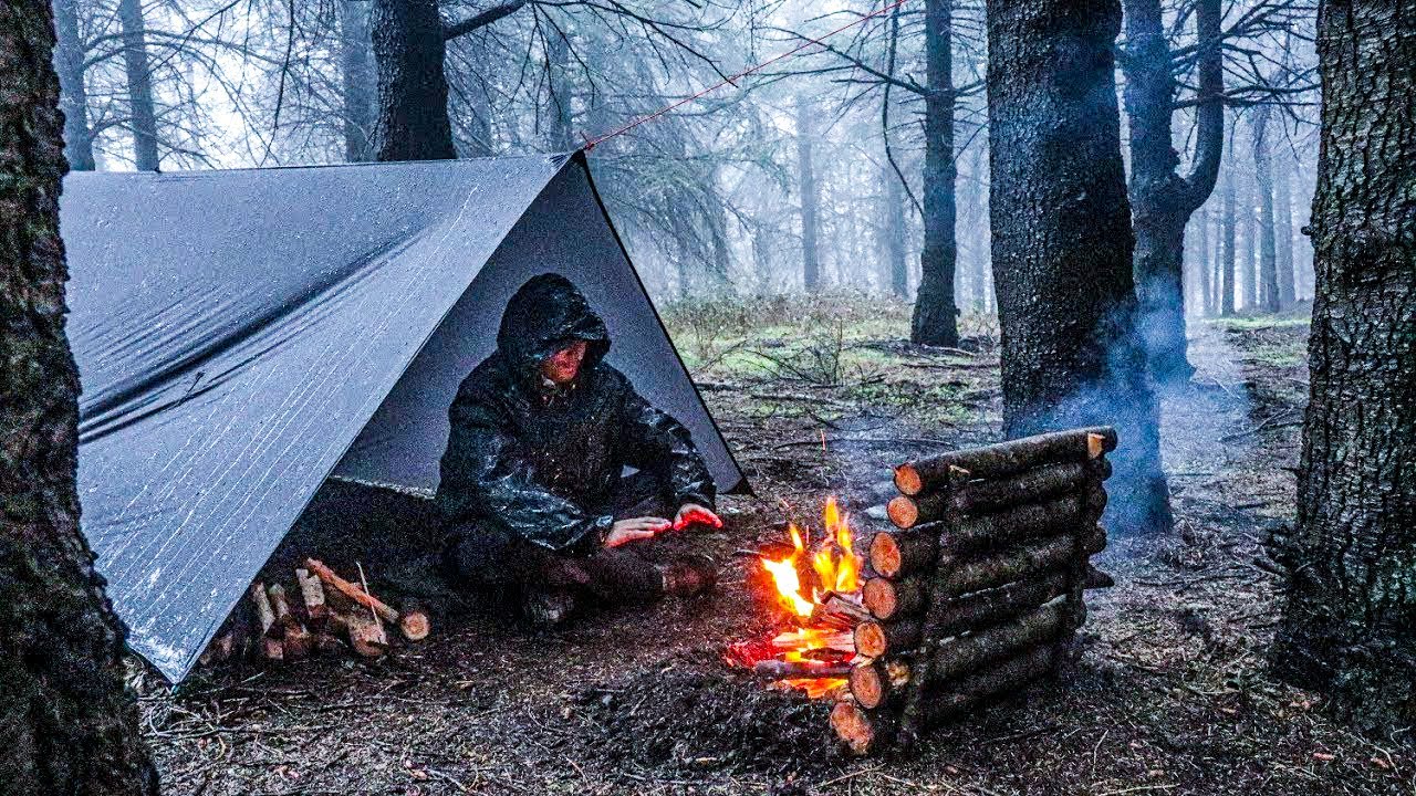 Camping in Nature | 24/7 Relaxing Campfire Ambience for Sleep & Study