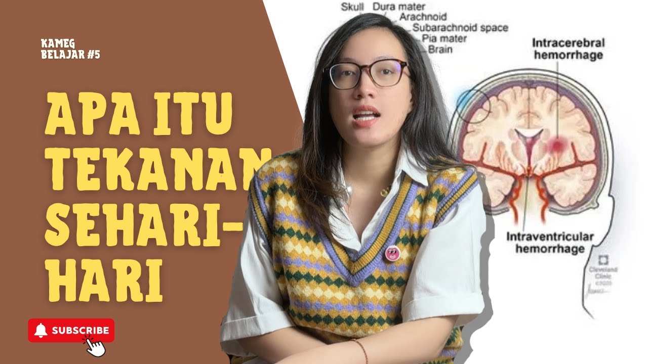 KAMEGBELAJAR#5 CARA OTAK KITA MERESPON TEKANAN SEHARI HARI