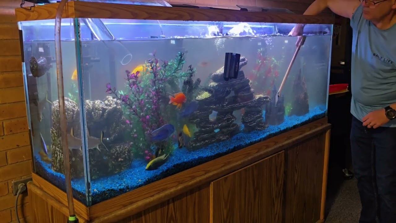 School Aquarium Gets 8 New Fish!