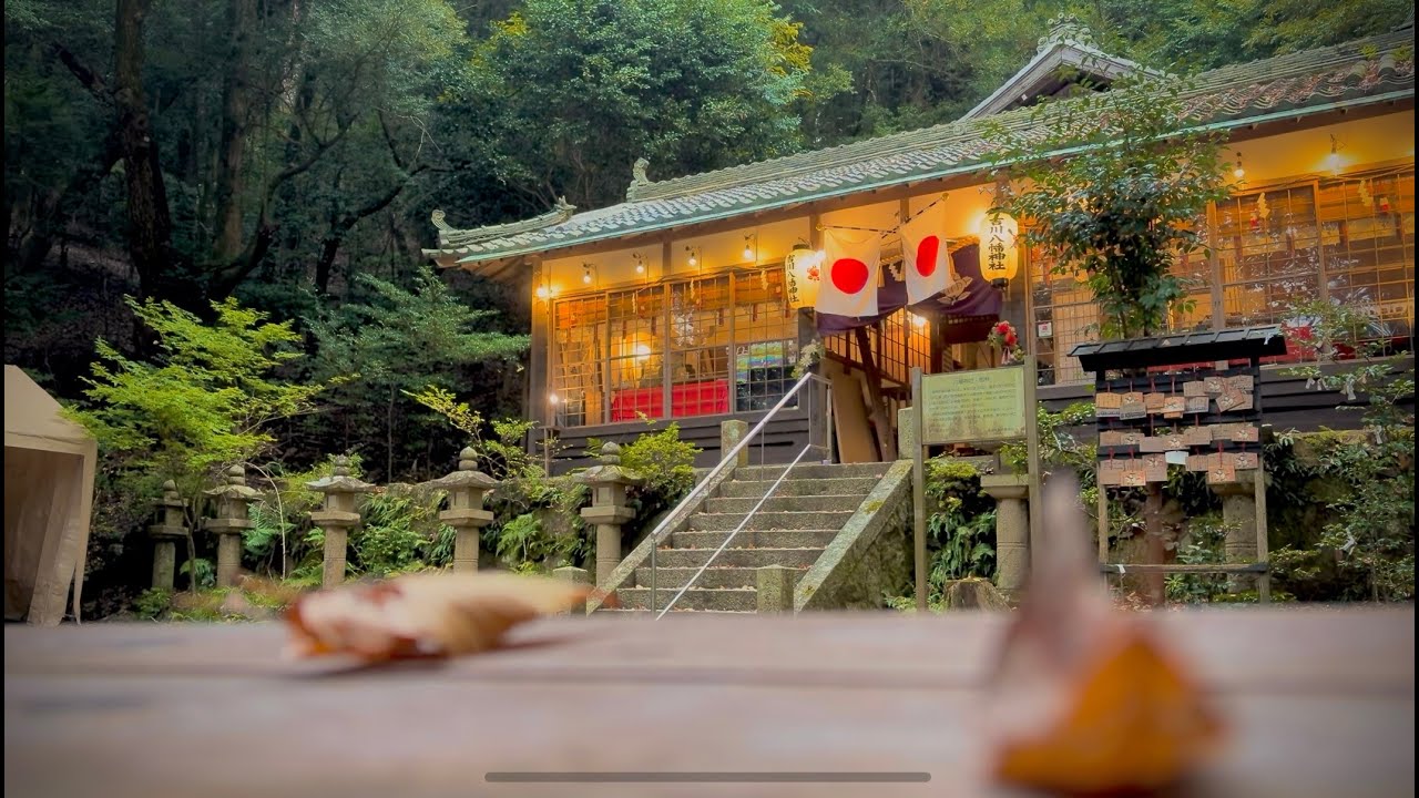 A Silent Shrine Walk in Winter, Japan