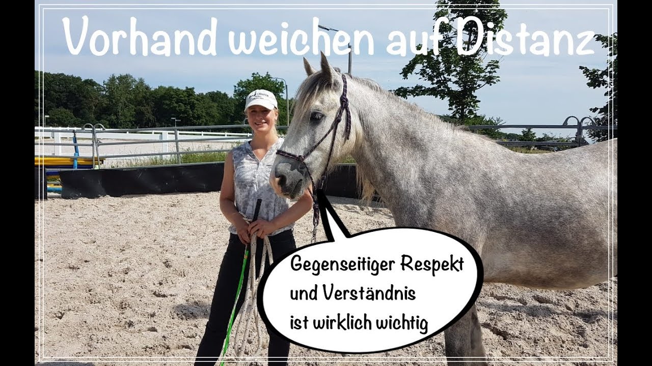 Bodenarbeit für Anfänger: Hinterhandwendung, Vorhandweichen auf Distanz