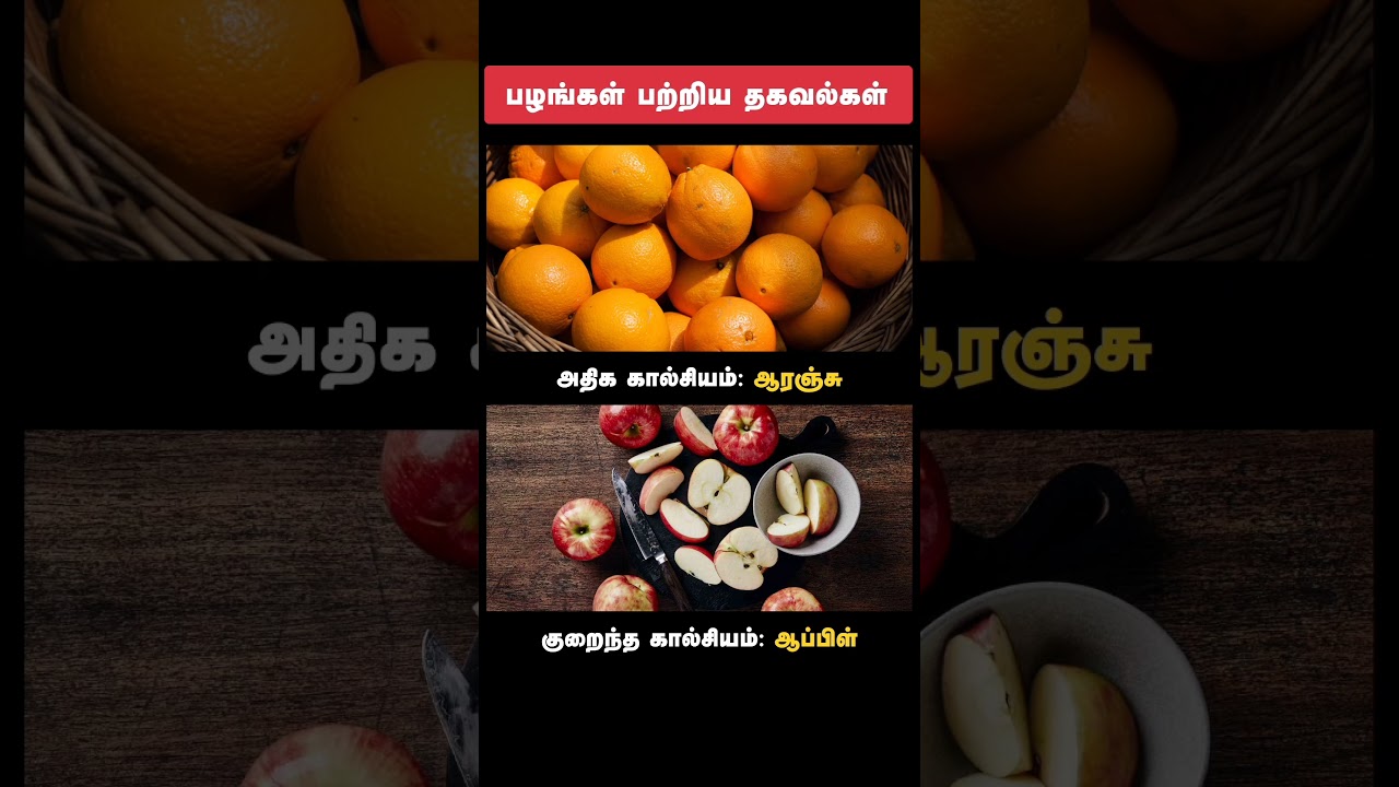 General Knowledge #tnpsc #tnpscstudynotes