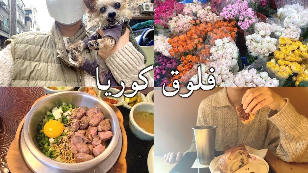 فلوق كوريا - توصية المقاهي والمطاعم في سيول، سوق الزهور، توكبوكي، متحف جنب إيتاوون وكلبي🤍