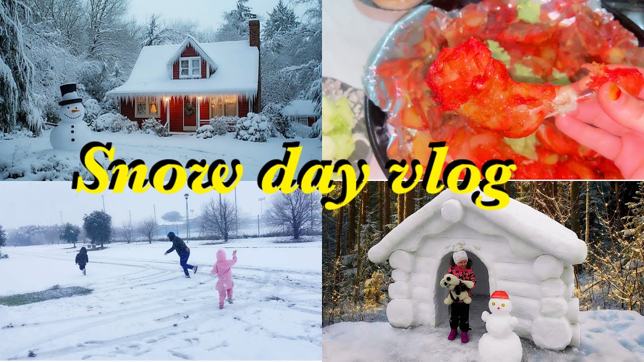 Snow day vlog 2026 | Kashmiri mom in Europe 