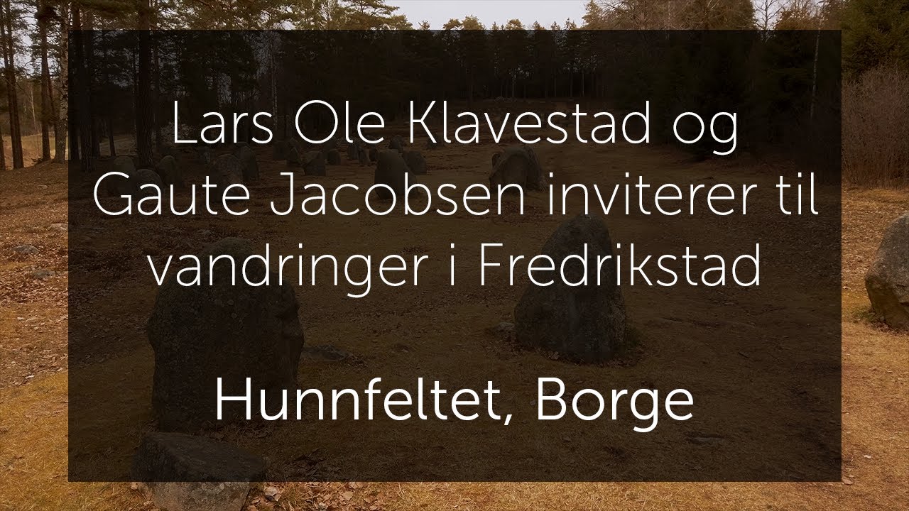 Hunnfeltet i Borge