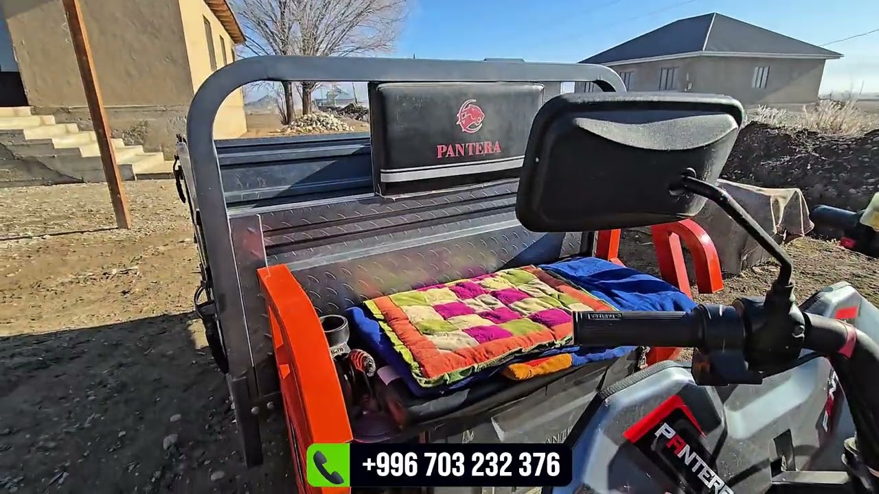 Пантера электро муравей сатылат 