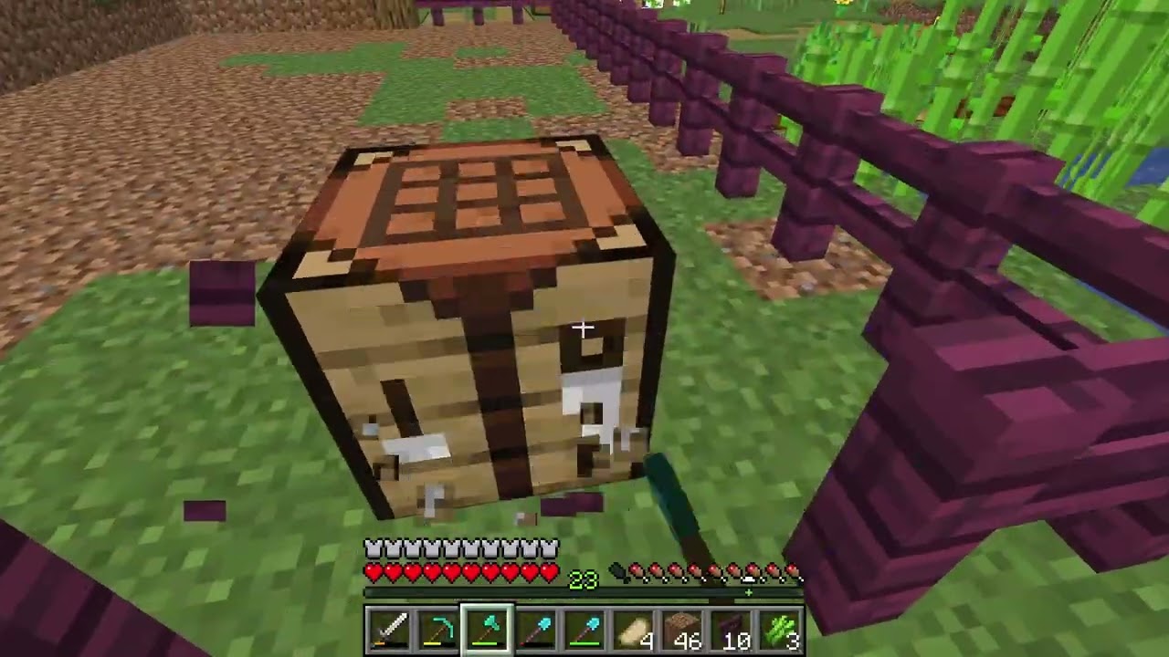 Vandaag moet ik mijn vriend bevrijden uit in cave in Minecraft! (Minecraft Survival) #17