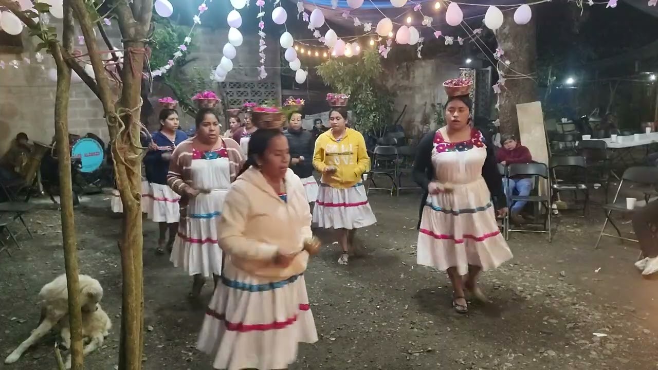 Danza, de inditas santa Cecilia, informes, 7713463437, sólo por Whatsapp, con Don Albino García,,