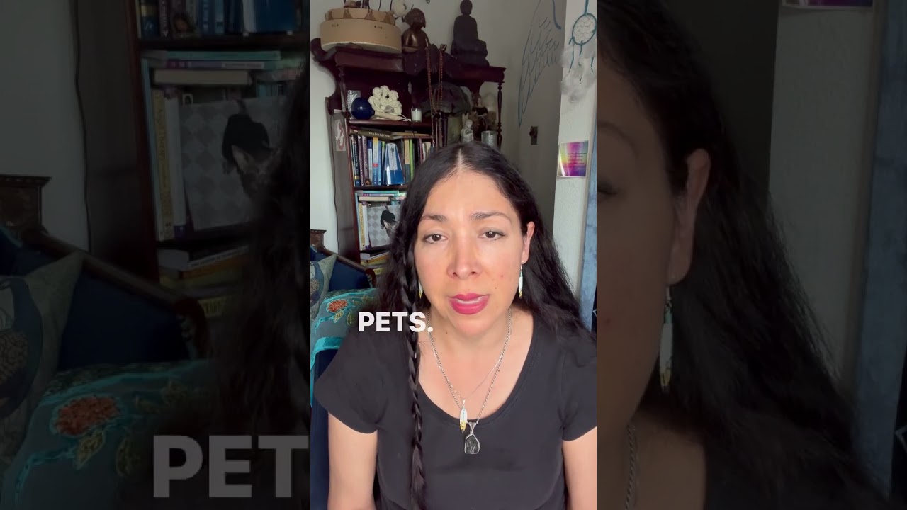 Pet Loss Support