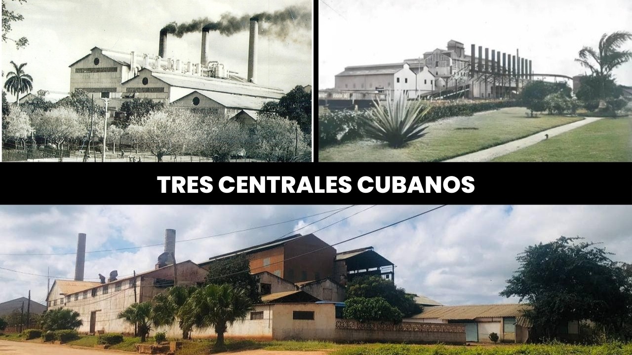 Los gigantes del azúcar cubano que el mundo olvidó #cubanosporelmundo #cuba #cubanhistory