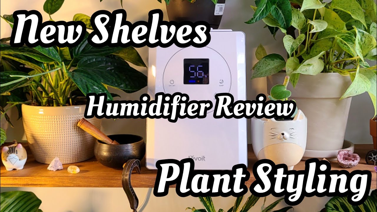 new shelves, styling plants, bedroom tour + Levoit humidifier unboxing & review 🪴