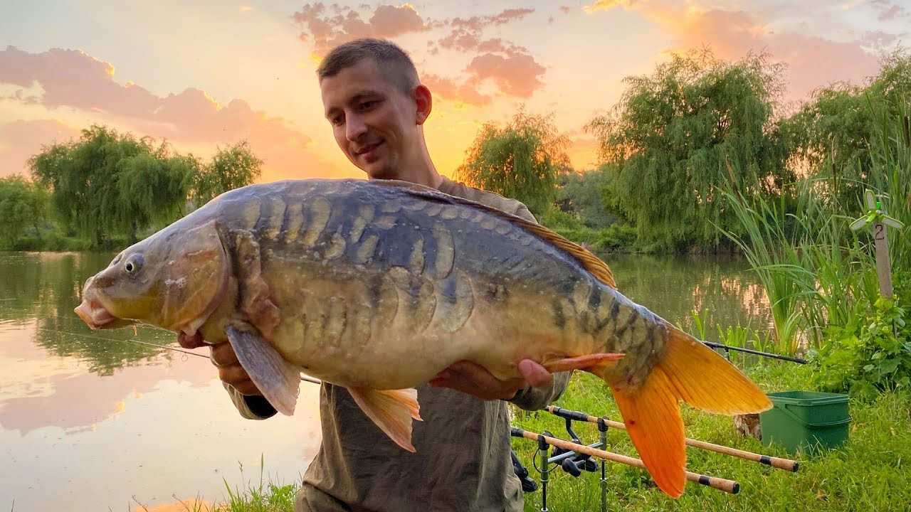 Таких карпов мы еще не видели. Рыбалка на самом красивом озере. Карпфишинг бьем все свои рекорды