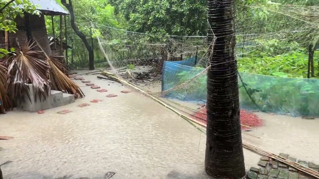 Rain