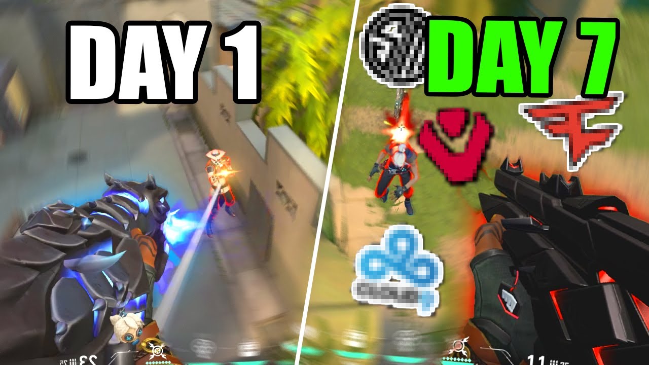 I played PRO Valorant teams for a week, here is what happened