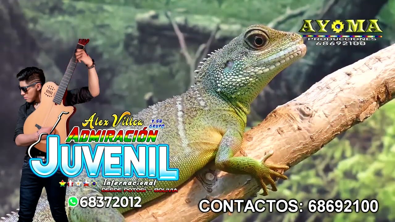 ADMIRACION JUVENIL    VIVO  MIX