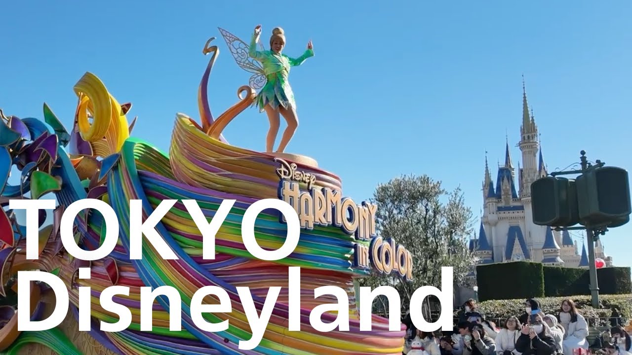 Tokyo Disneyland in one day with a vacation package - japan vlog 09